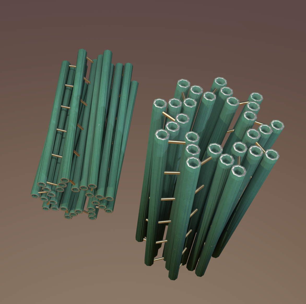 Sitoskelet tuzilishi